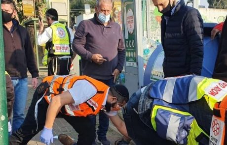 פועל גינון נפגע באורח בינוני לאחר שקרס עליו ענף כבד בזמן עבודתו