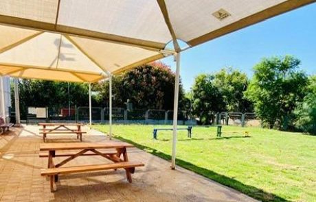 עיריית רעננה ממשיכה לשדרג את גינות הכלבים ברחבי העיר